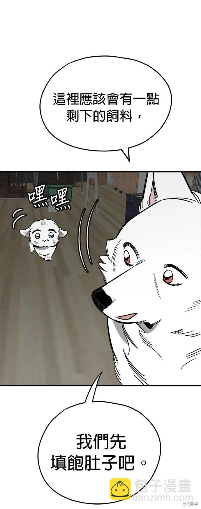 🍸狗狗末日生存法 第41话 第9页