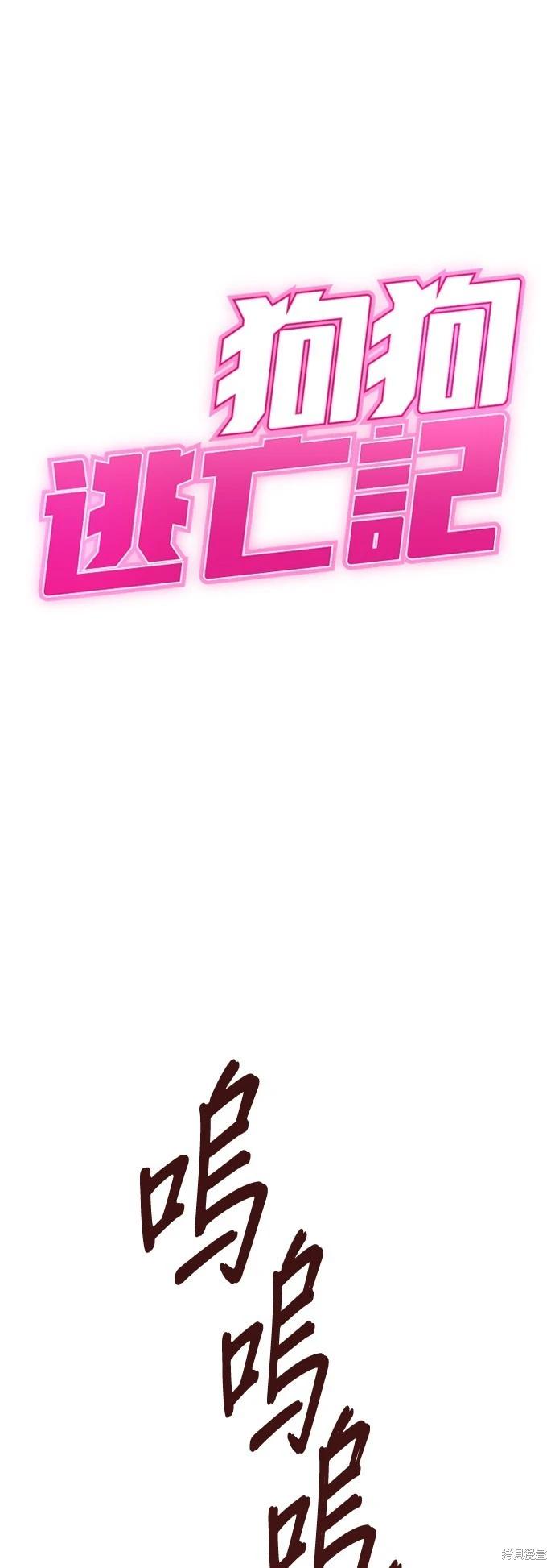 🍸狗狗末日生存法 第43话 第1页
