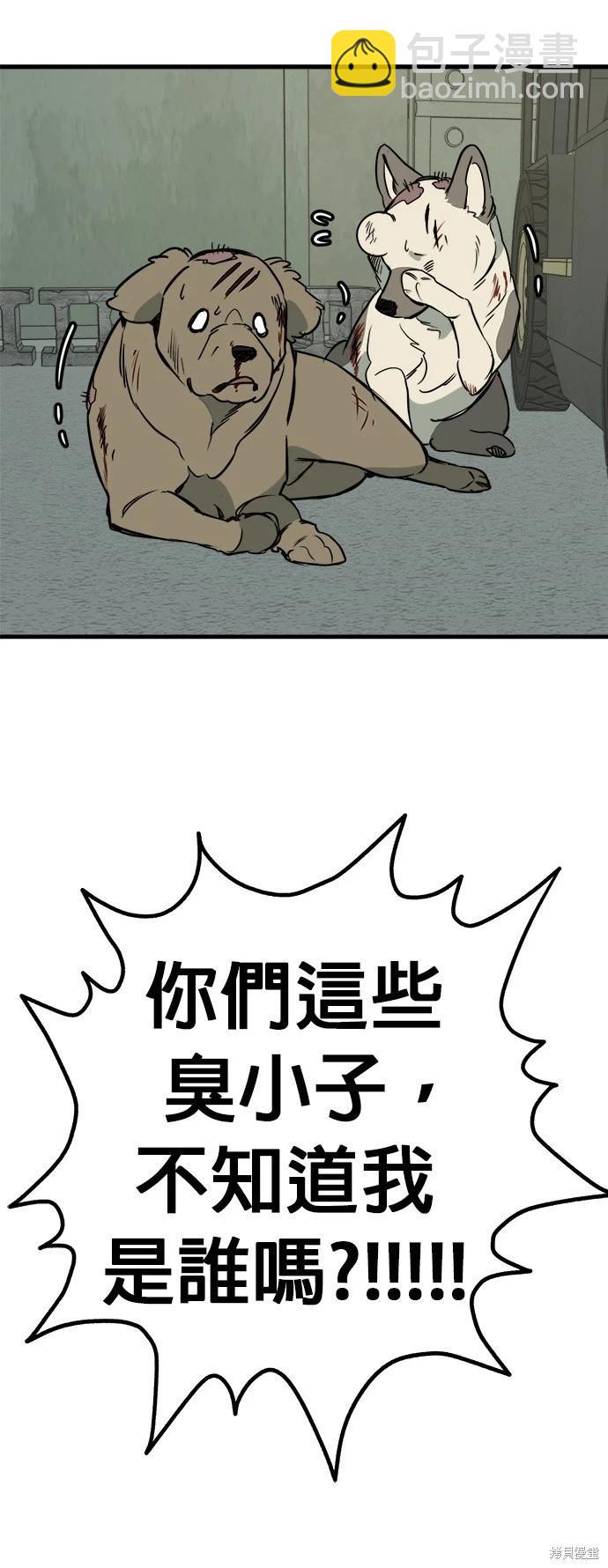 🍸狗狗末日生存法 第47话 第33页