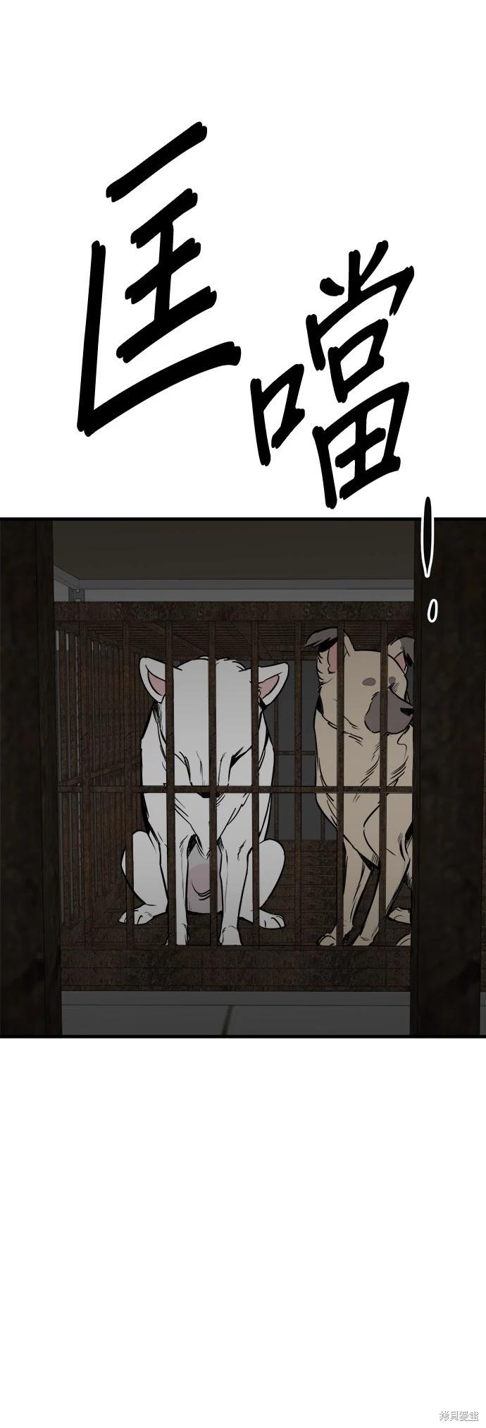 🍸狗狗末日生存法 第49话 第42页