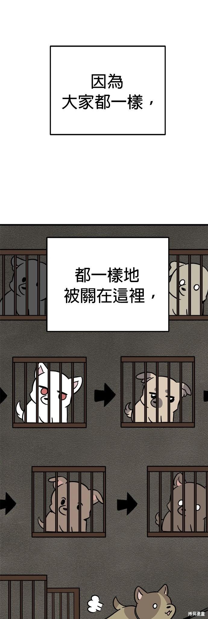 🍸狗狗末日生存法 第49话 第45页