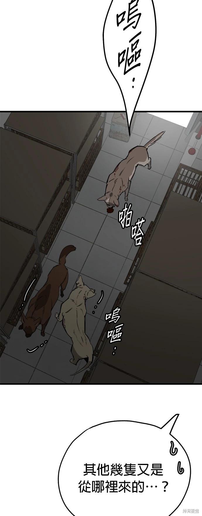 🍸狗狗末日生存法 第51话 第14页