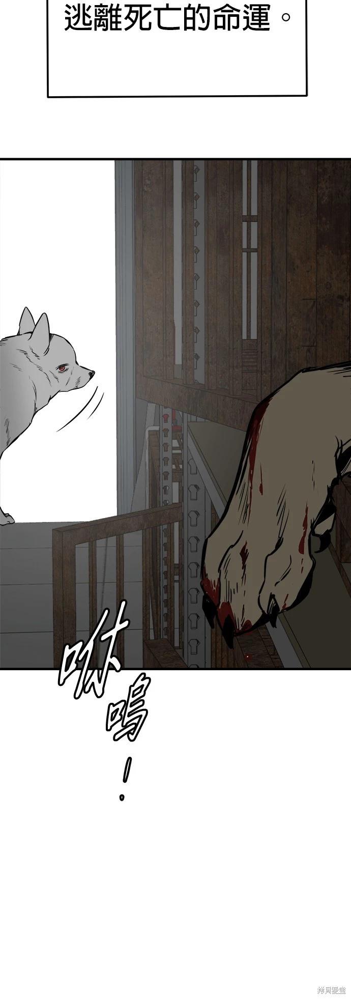 🍸狗狗末日生存法 第51话 第36页