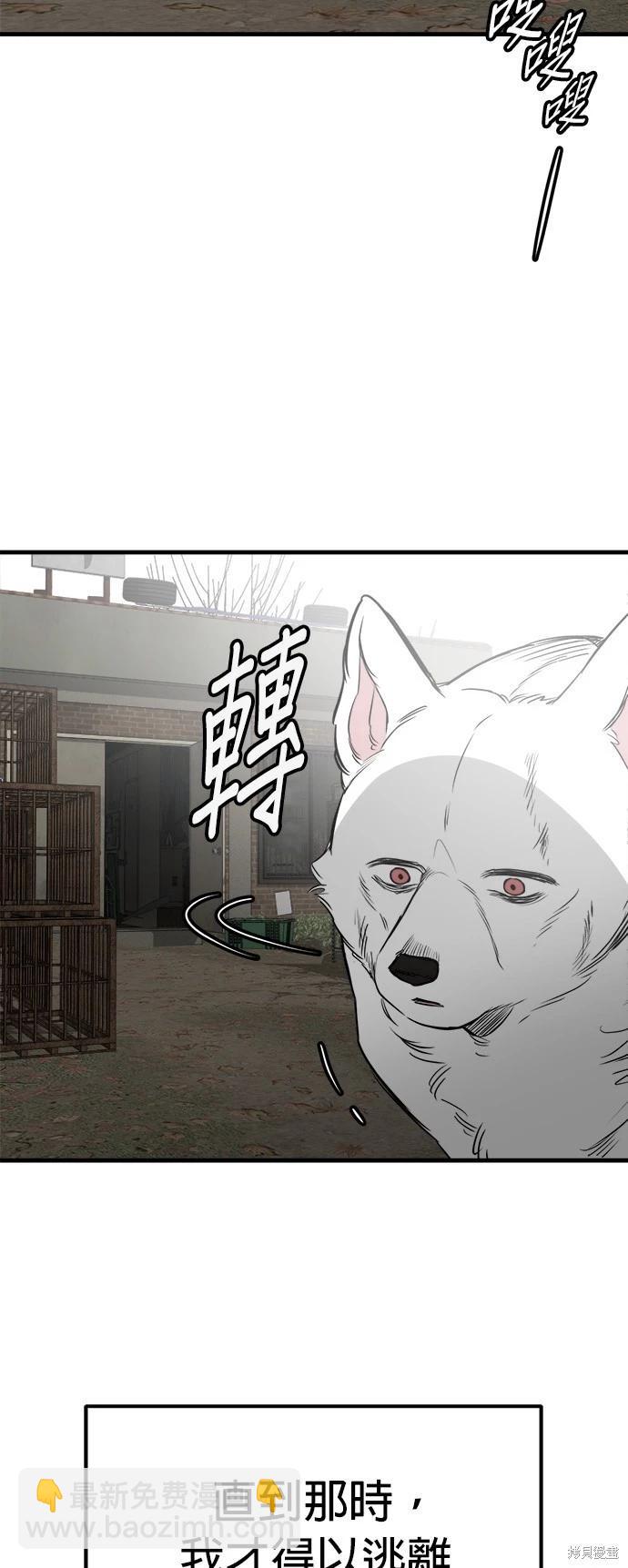 🍸狗狗末日生存法 第51话 第39页