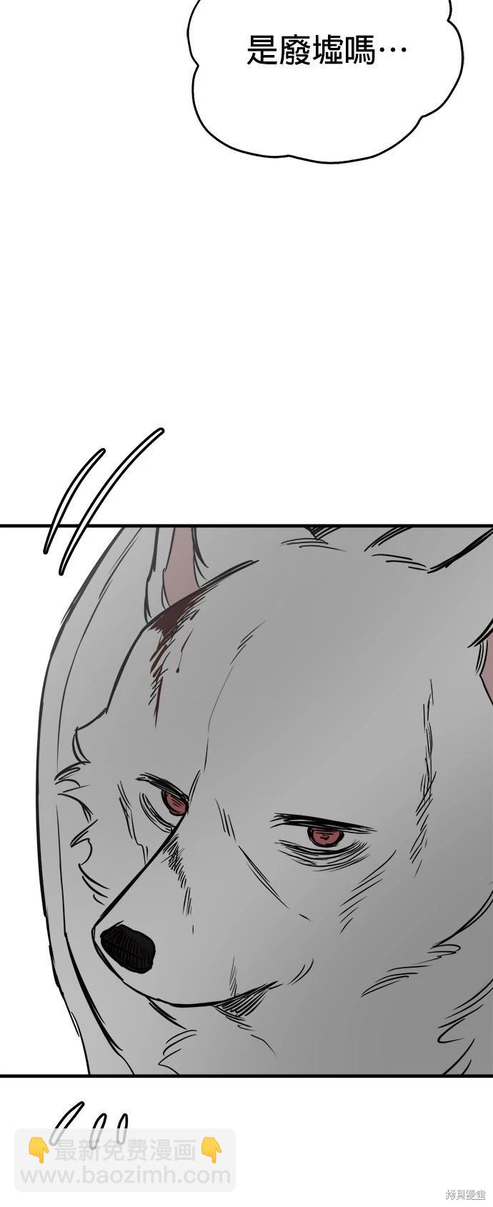 🍸狗狗末日生存法 第51话 第43页