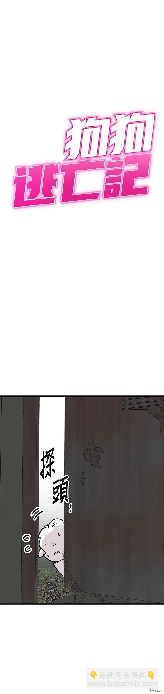 🍸狗狗末日生存法 第57话 第3页