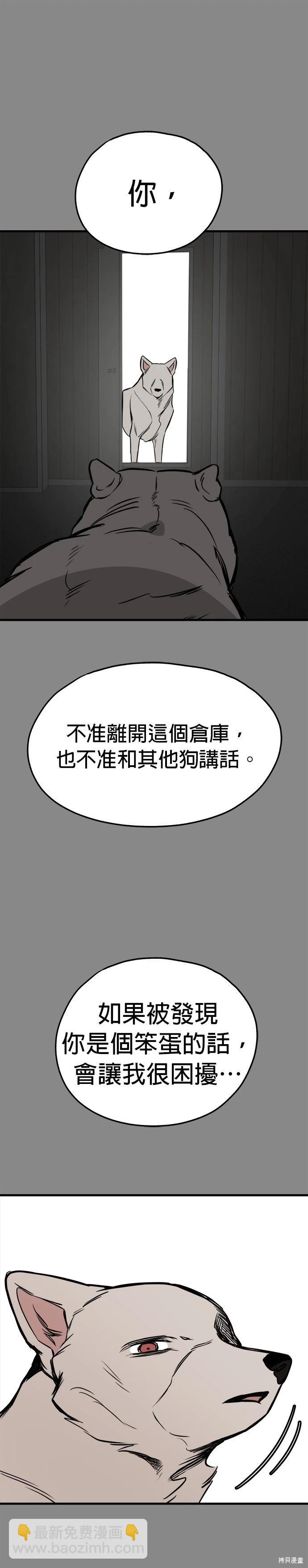 🍸狗狗末日生存法 第59话 第13页