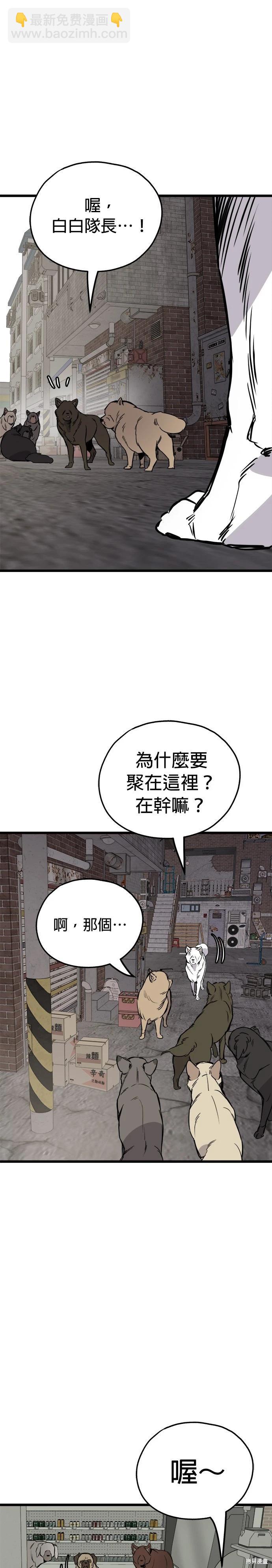 🍸狗狗末日生存法 第63话 第28页