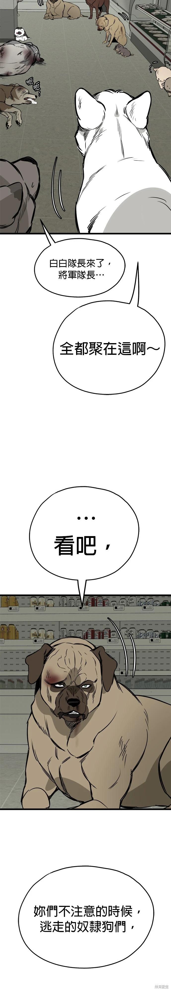 🍸狗狗末日生存法 第63话 第29页