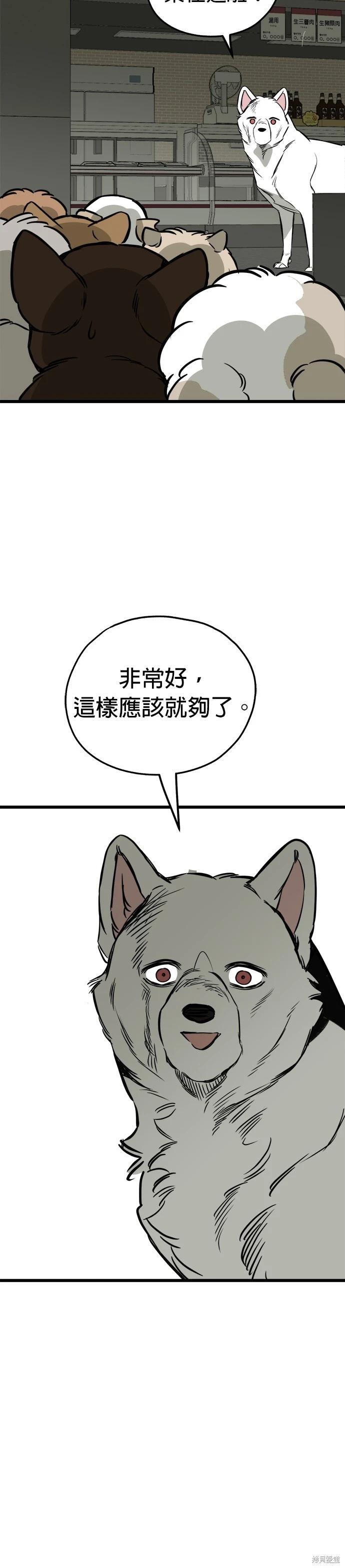🍸狗狗末日生存法 第63话 第32页