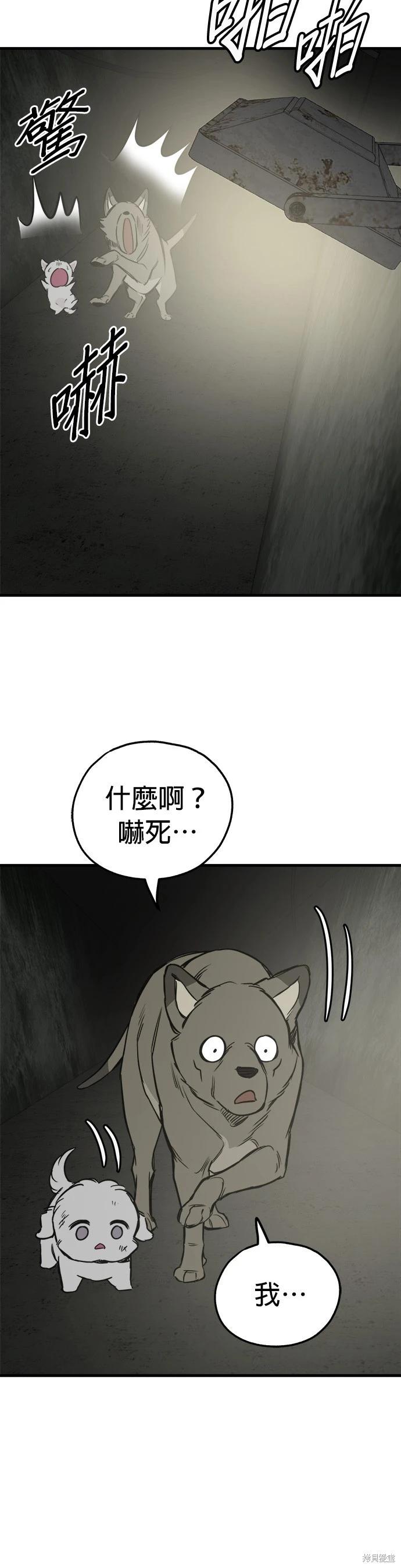 🍸狗狗末日生存法 第65话 第30页