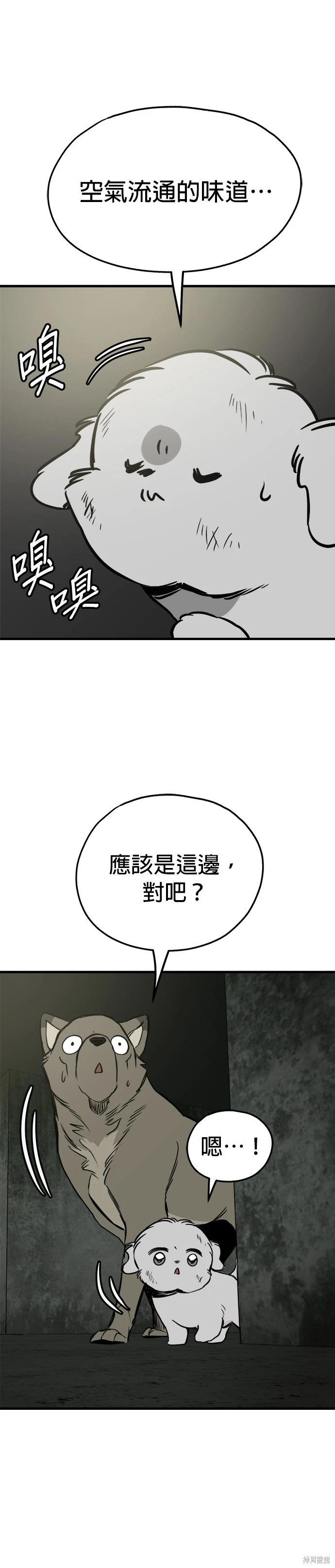 🍸狗狗末日生存法 第65话 第33页