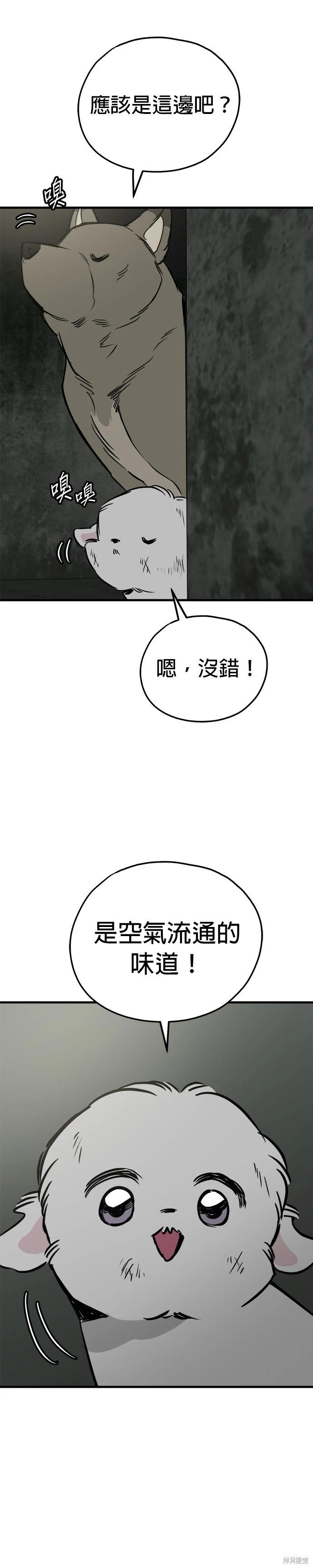 🍸狗狗末日生存法 第65话 第35页