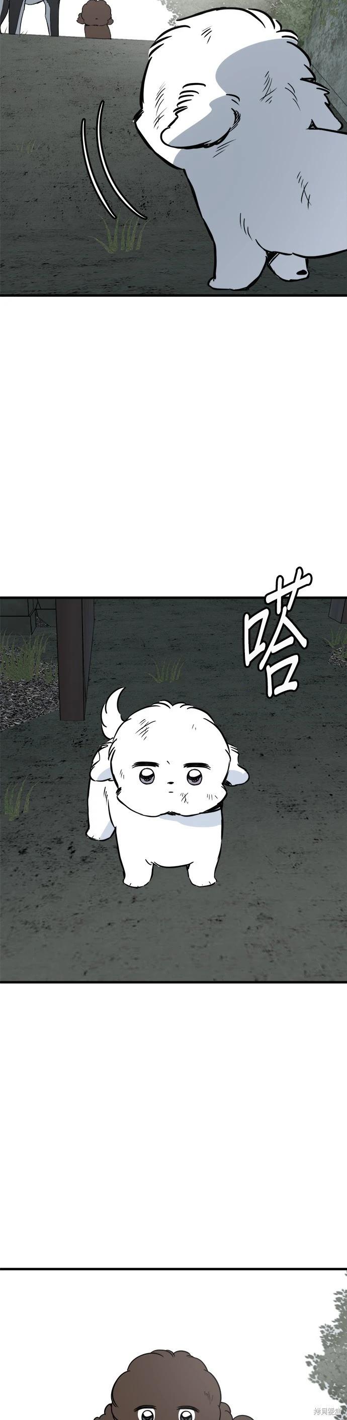 🍸狗狗末日生存法 第65话 第8页
