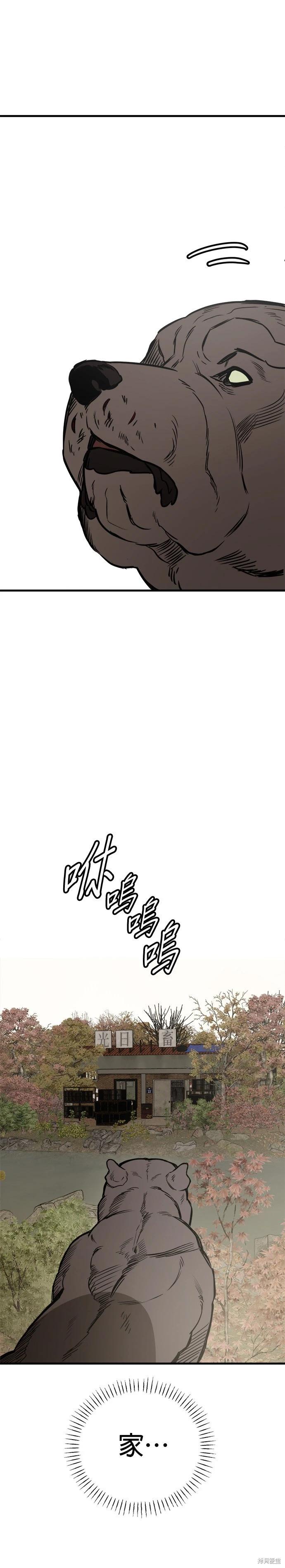 🍸狗狗末日生存法 第67话 第19页