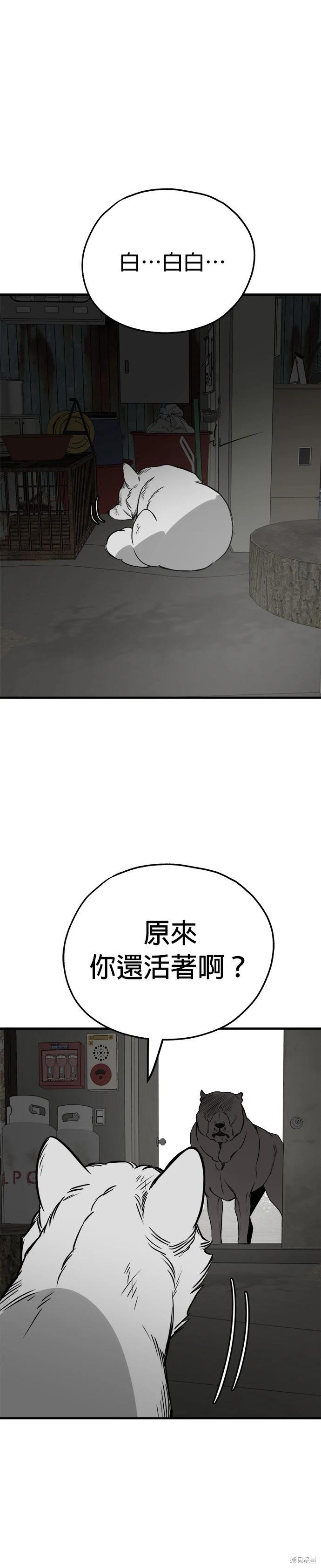 🍸狗狗末日生存法 第67话 第22页