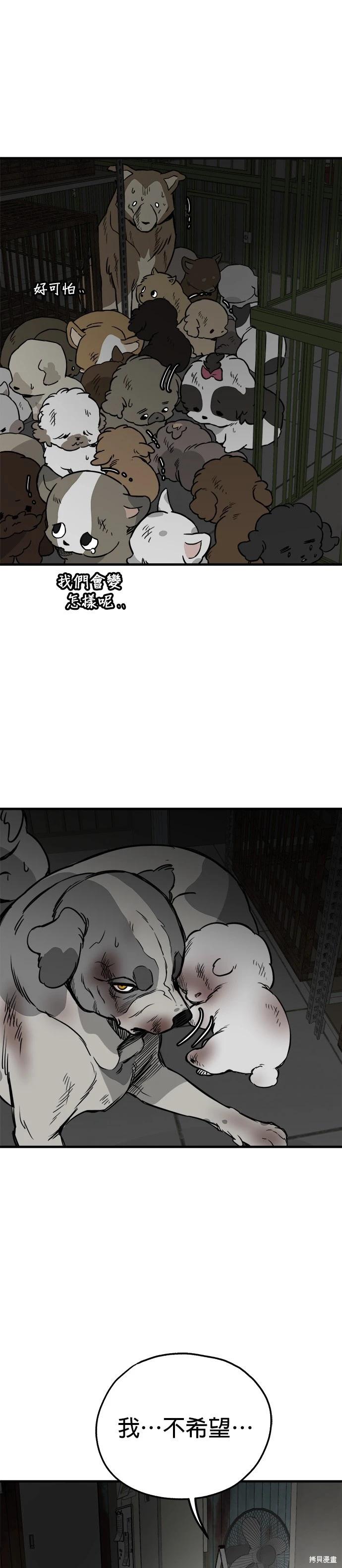 🍸狗狗末日生存法 第67话 第26页