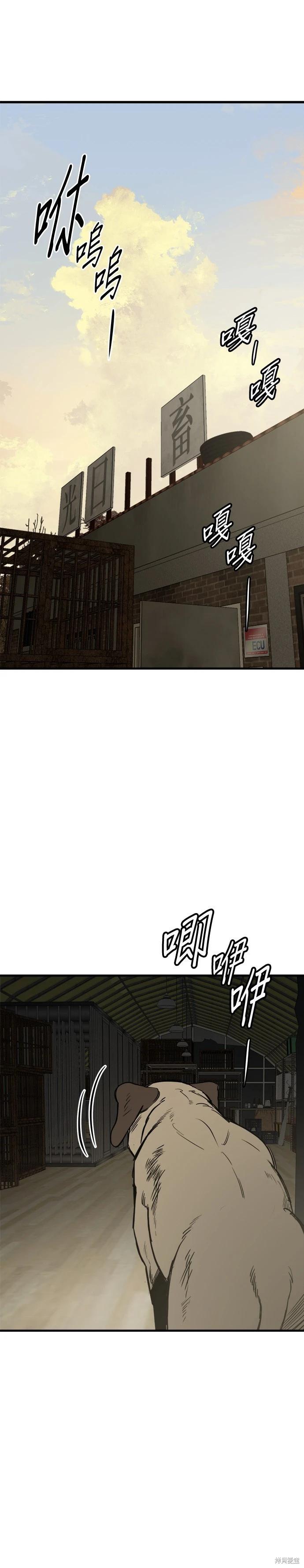 🍸狗狗末日生存法 第67话 第3页