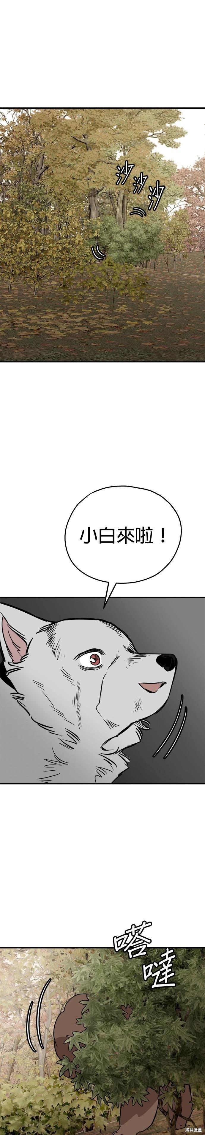 🍸狗狗末日生存法 第67话 第34页