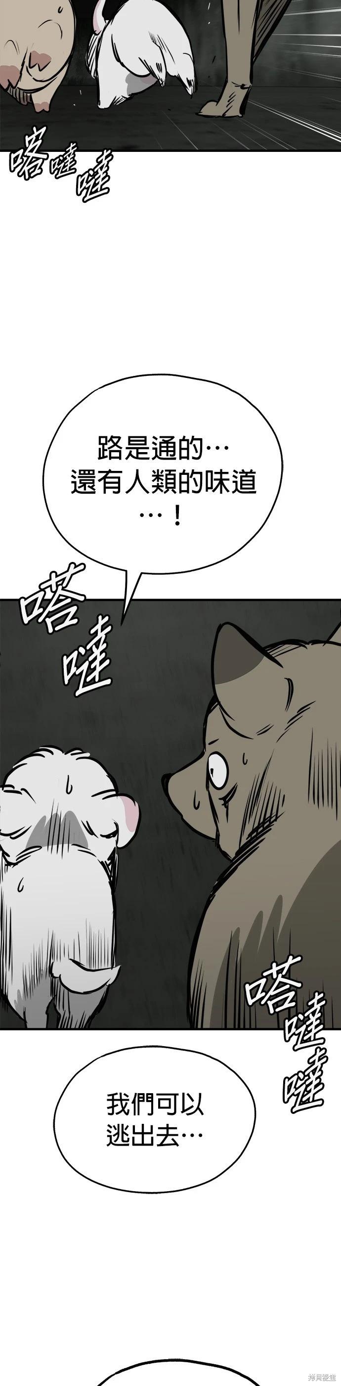 🍸狗狗末日生存法 第67话 第37页