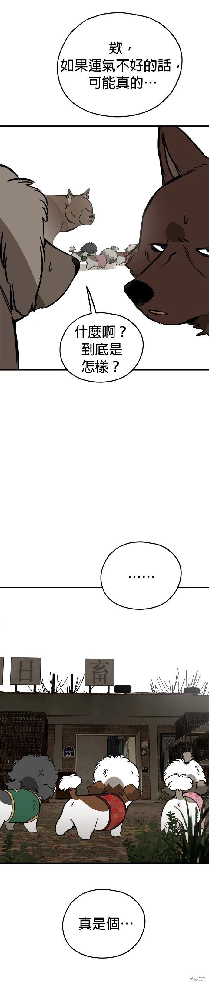 🍸狗狗末日生存法 第67话 第8页