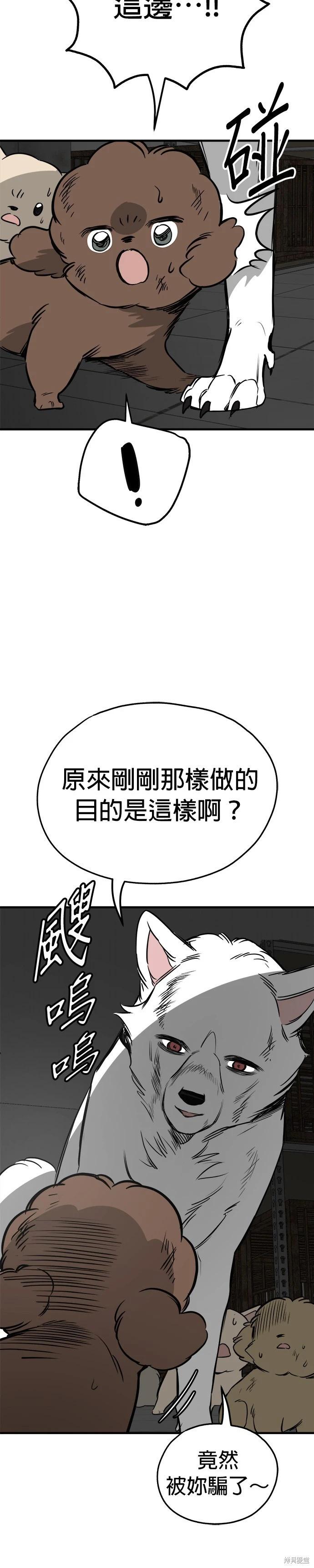 🍸狗狗末日生存法 第69话 第13页