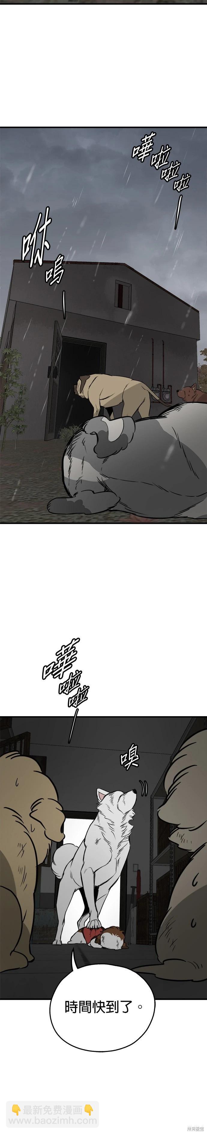 🍸狗狗末日生存法 第69话 第35页