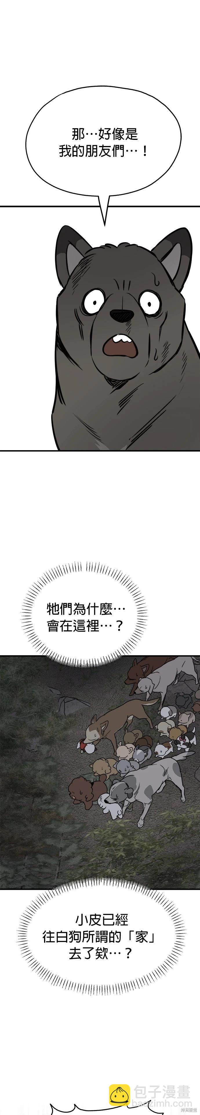 🍸狗狗末日生存法 第73话 第33页