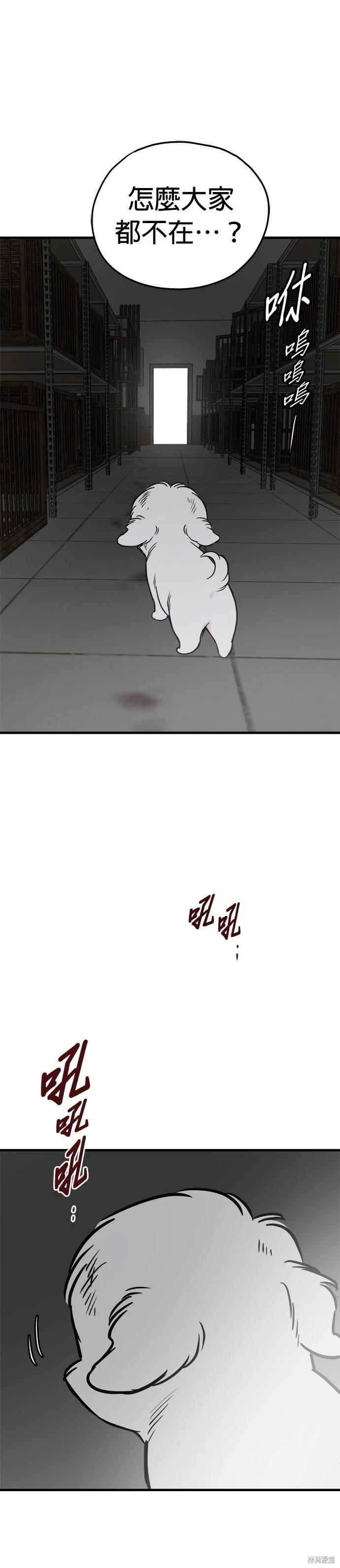 🍸狗狗末日生存法 第73话 第40页