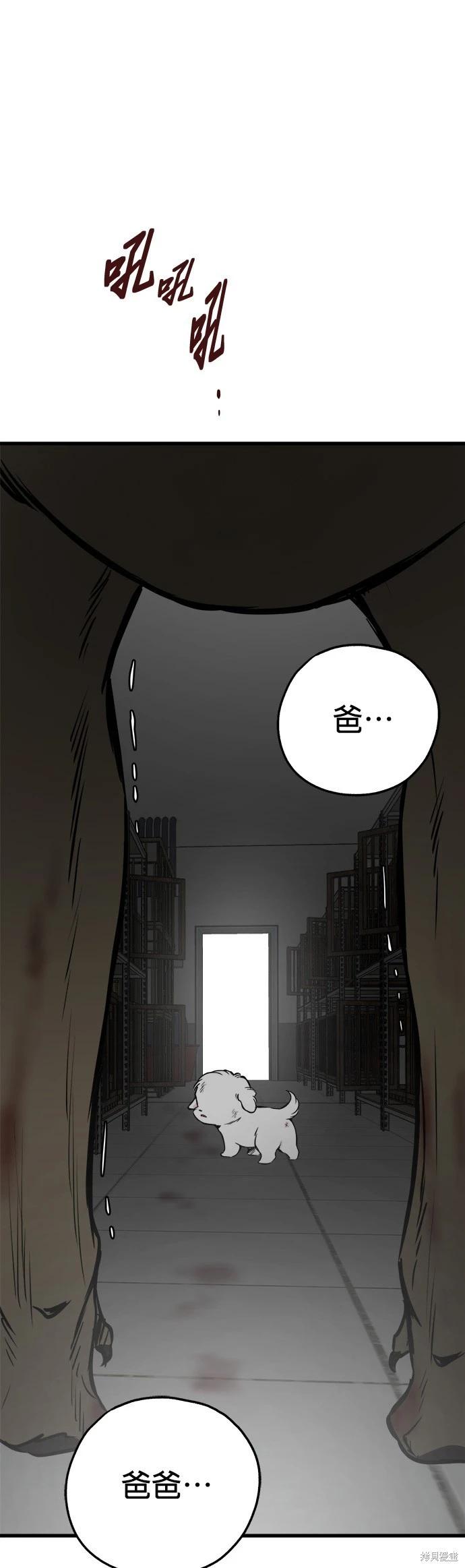 🍸狗狗末日生存法 第73话 第41页