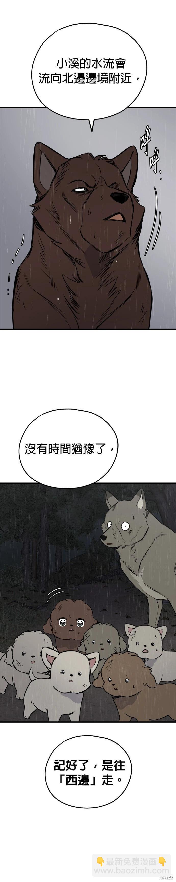 🍸狗狗末日生存法 第77话 第6页