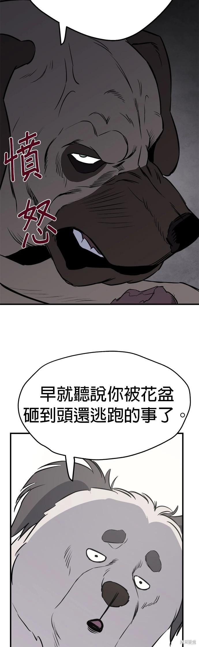 🍸狗狗末日生存法 第8话 第10页