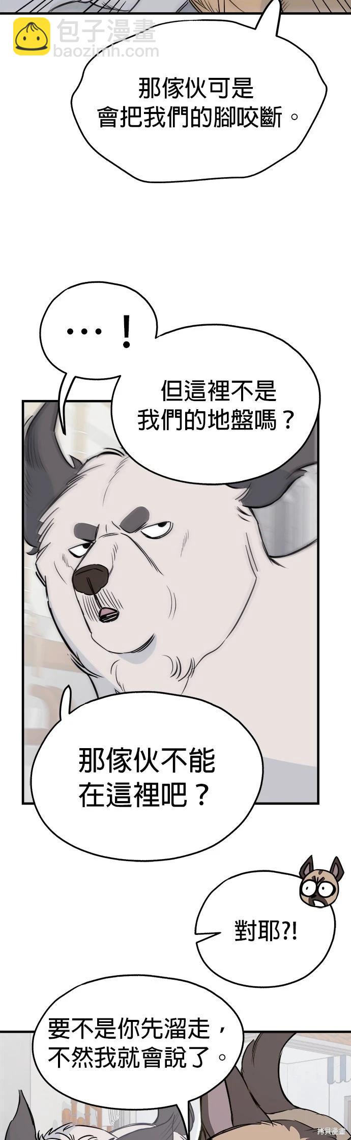 🍸狗狗末日生存法 第8话 第3页