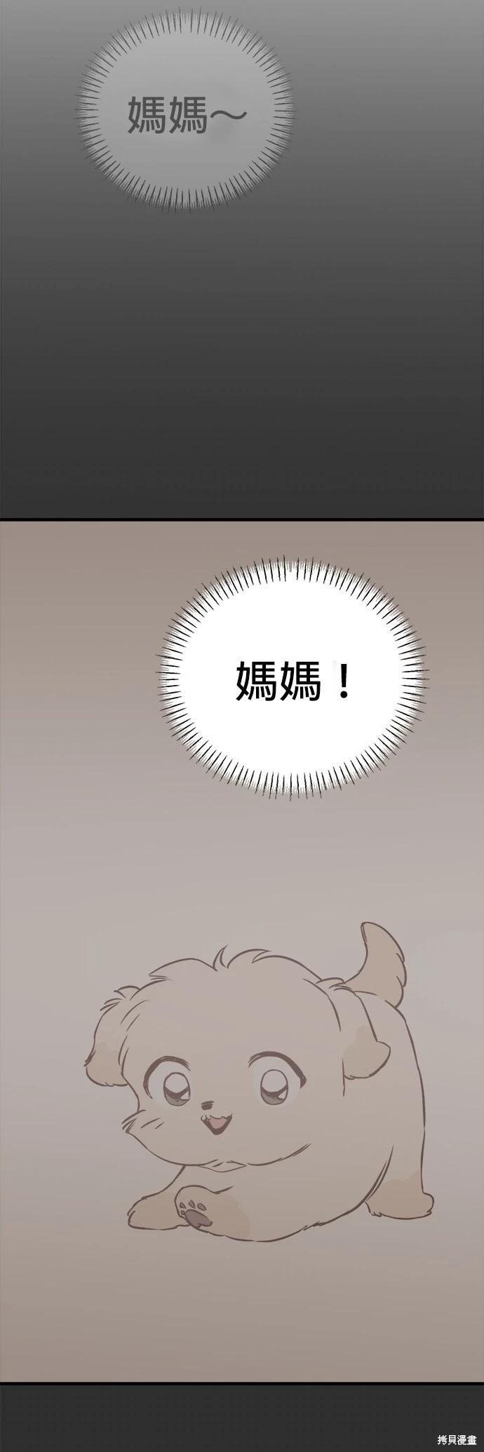 🍸狗狗末日生存法 第8话 第35页