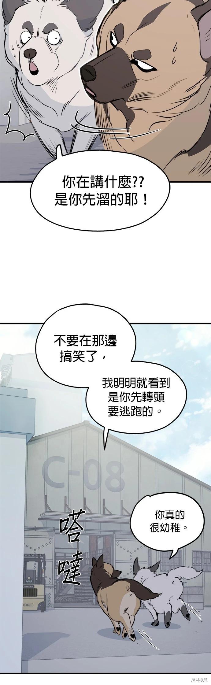 🍸狗狗末日生存法 第8话 第4页