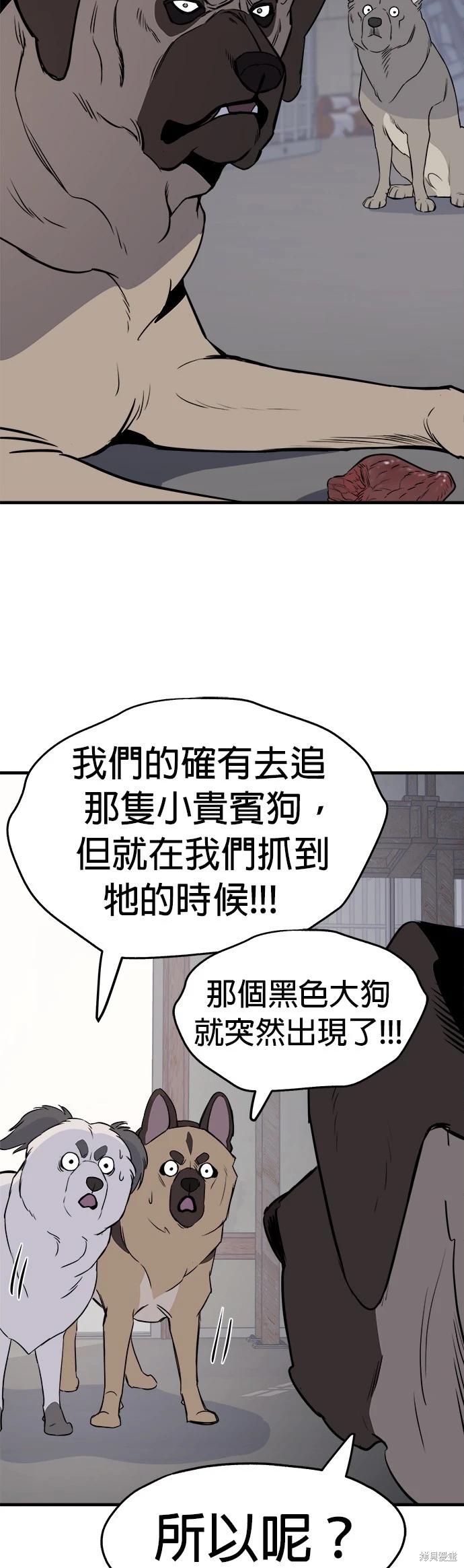 🍸狗狗末日生存法 第8话 第6页