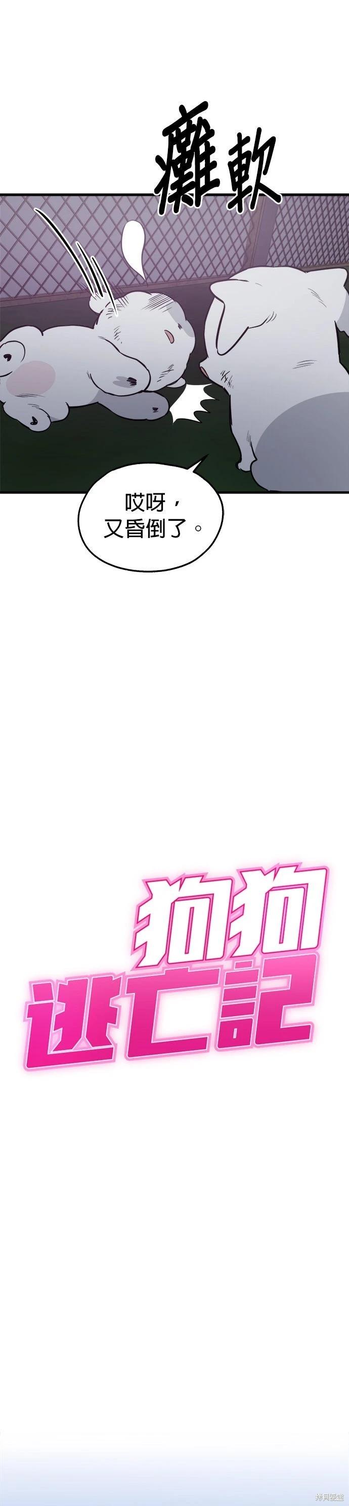 🍸狗狗末日生存法 第81话 第3页