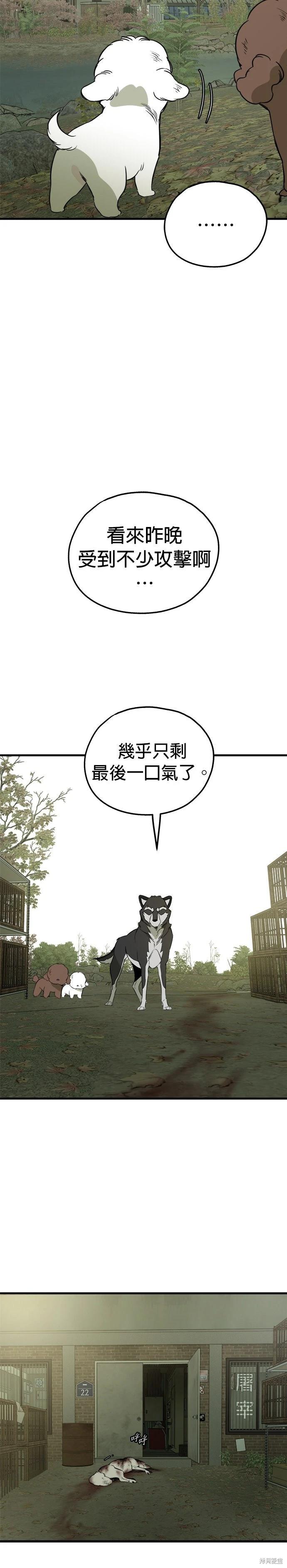 🍸狗狗末日生存法 第81话 第31页