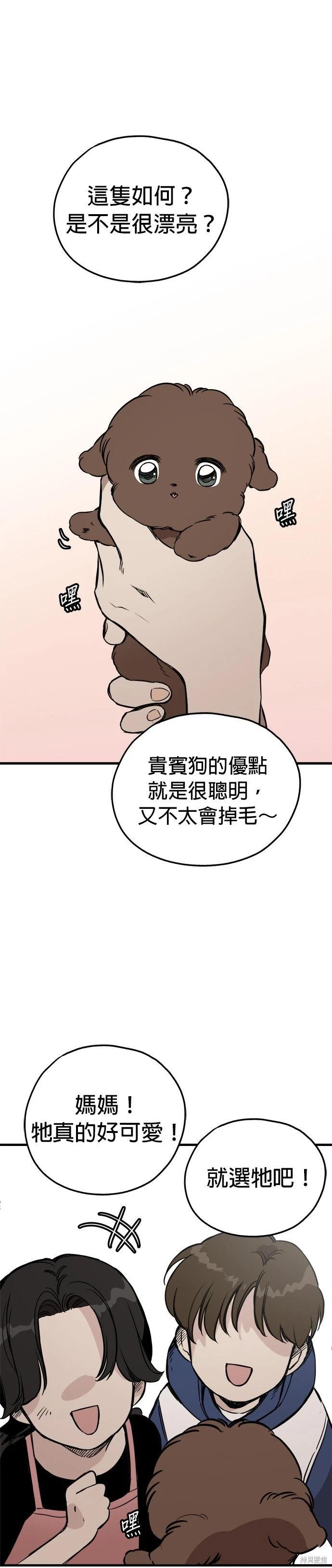 🍸狗狗末日生存法 第83话 第1页