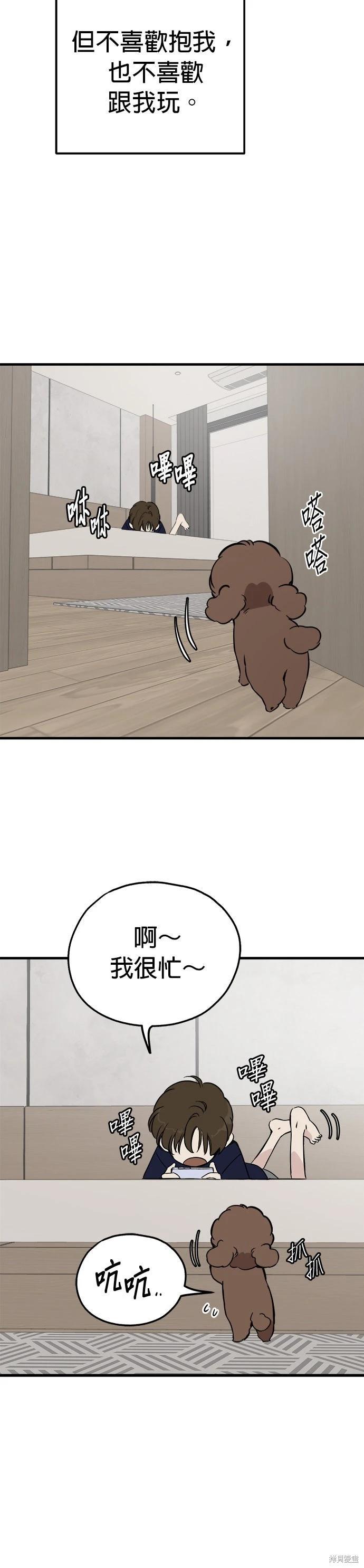 🍸狗狗末日生存法 第83话 第14页