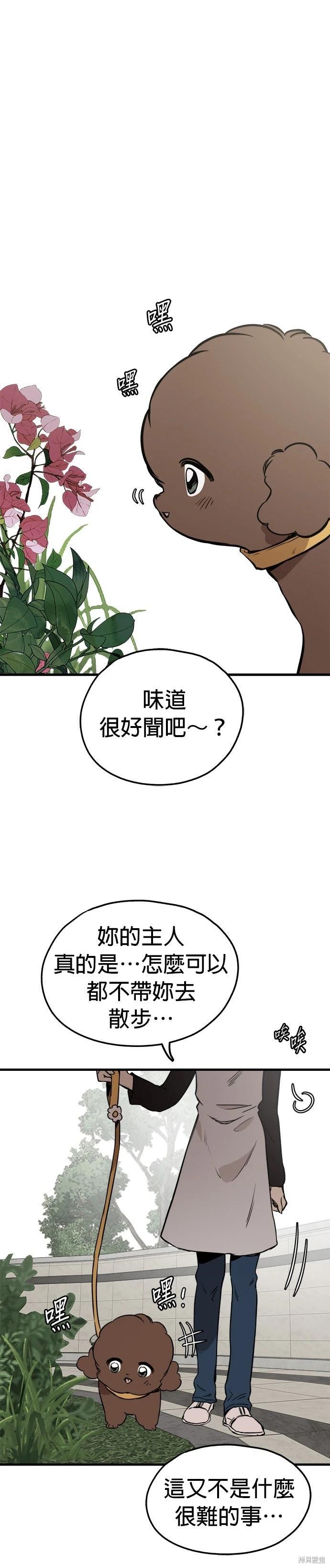 🍸狗狗末日生存法 第83话 第19页