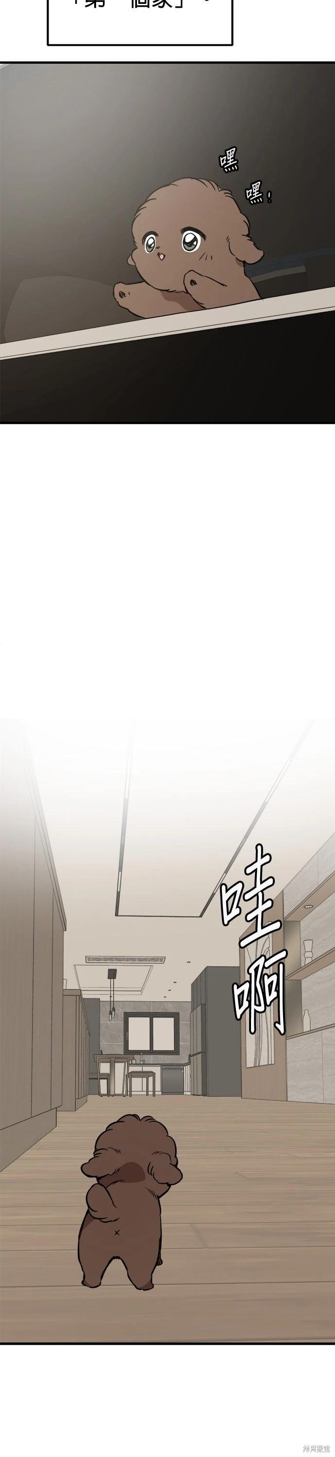 🍸狗狗末日生存法 第83话 第4页