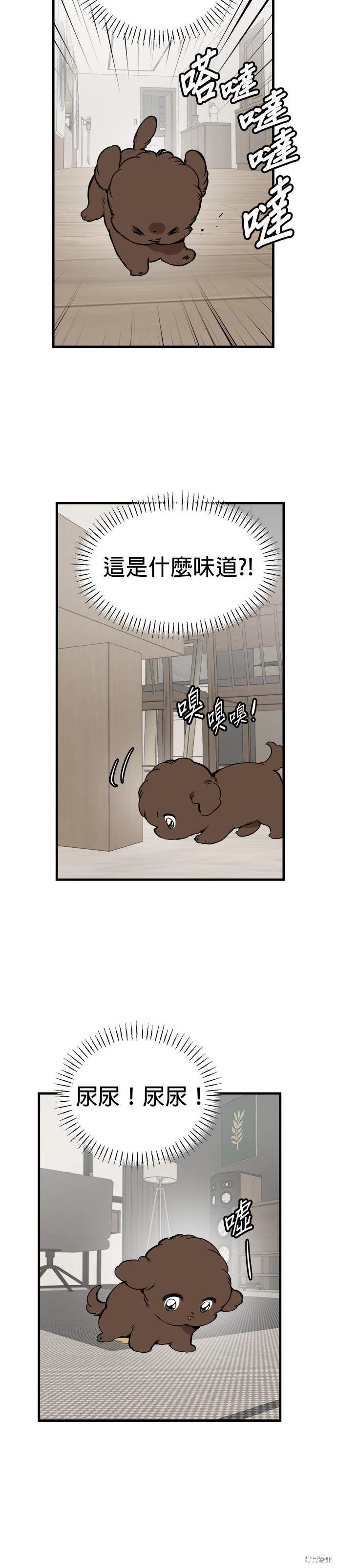 🍸狗狗末日生存法 第83话 第6页