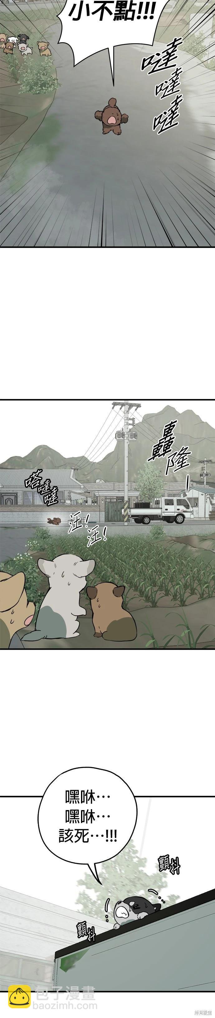 🍸狗狗末日生存法 第85话 第10页