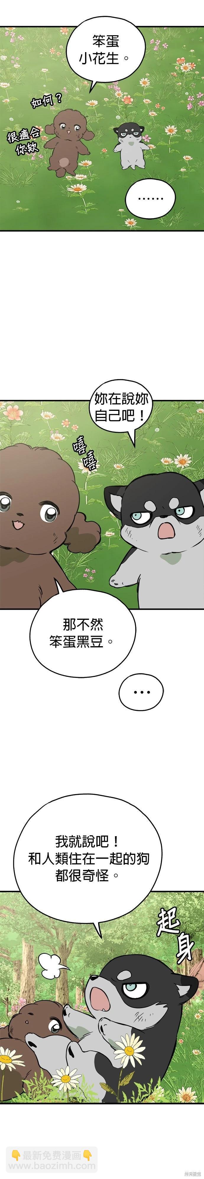 🍸狗狗末日生存法 第85话 第32页