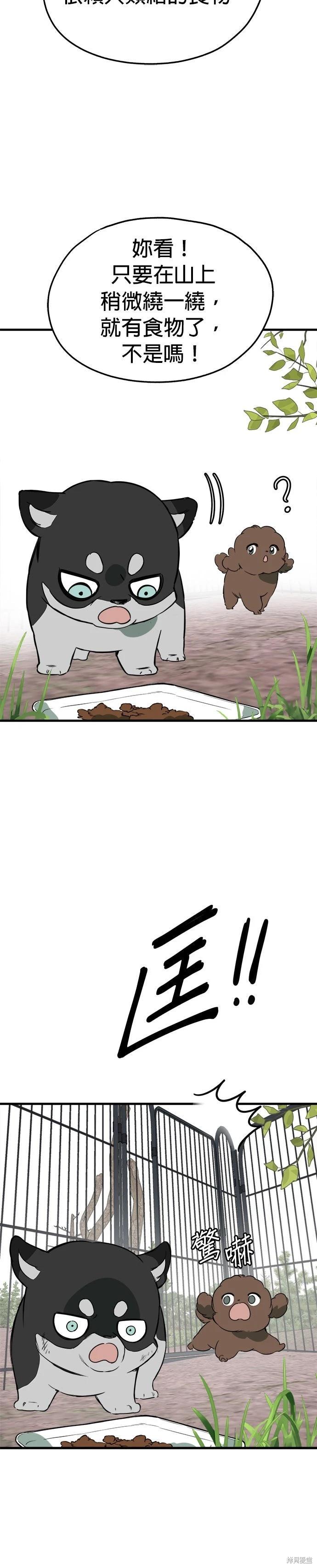 🍸狗狗末日生存法 第85话 第34页