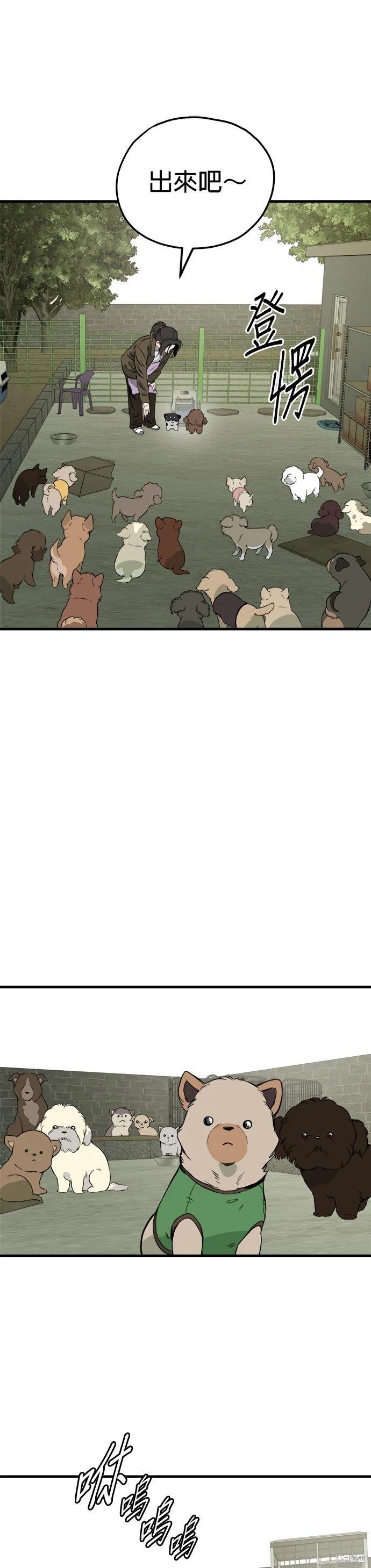 🍸狗狗末日生存法 第85话 第37页