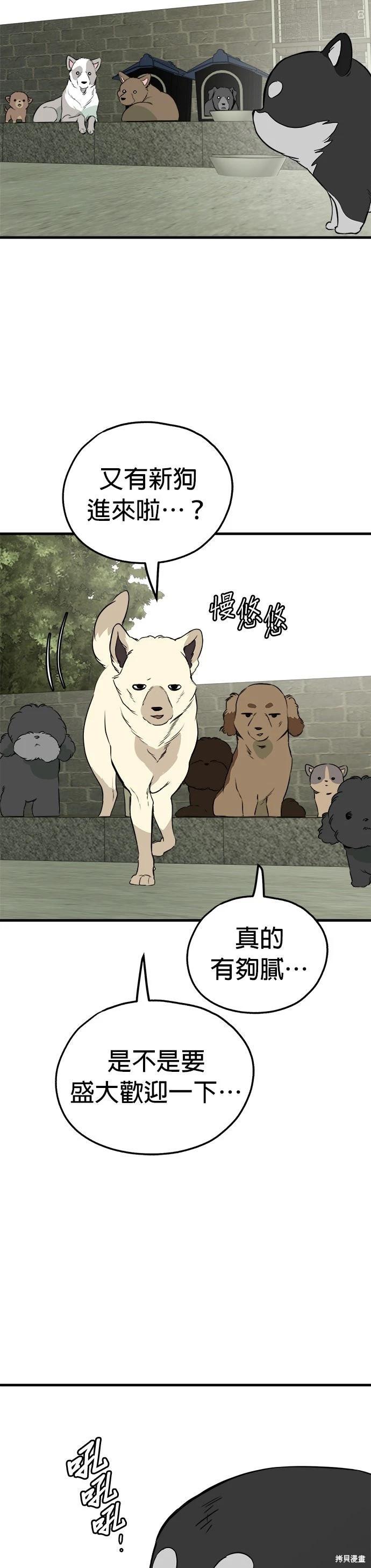 🍸狗狗末日生存法 第85话 第38页
