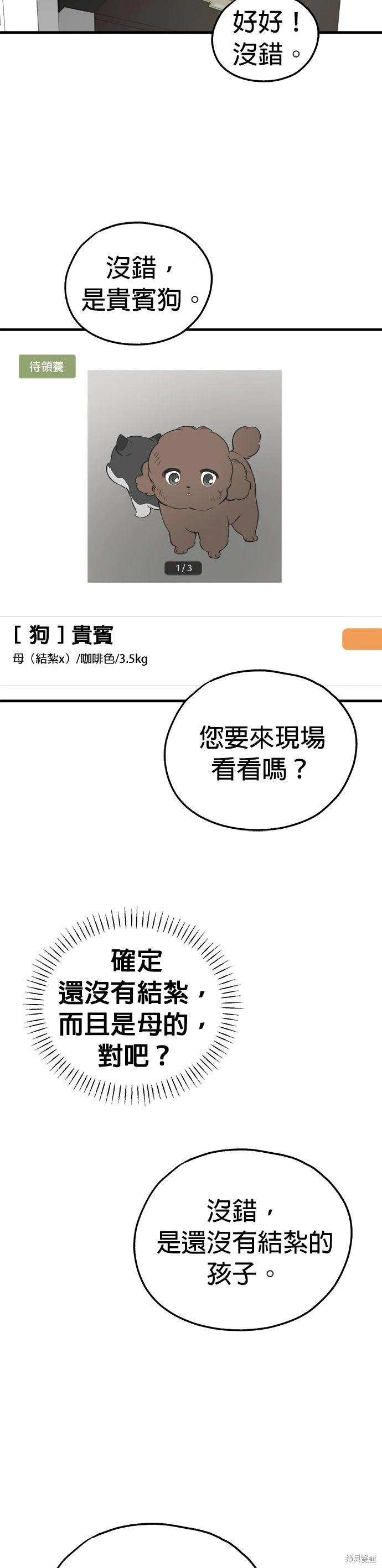 🍸狗狗末日生存法 第85话 第41页