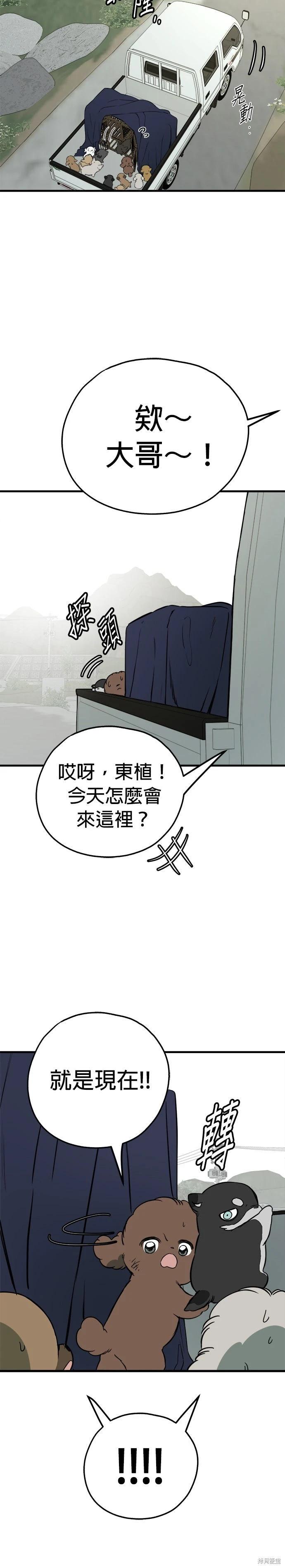 🍸狗狗末日生存法 第85话 第6页
